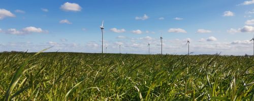 Ostfriesland_Nordsee_Landschaft_Urlaub_Küste
